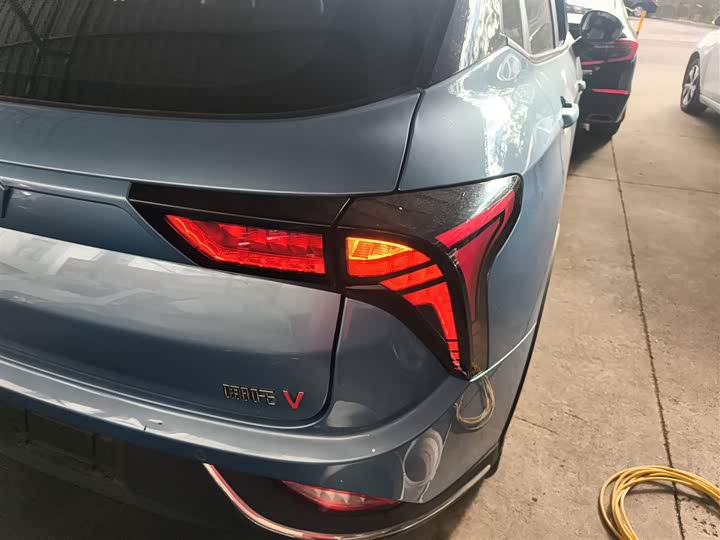 Фото 24 - Hozon V