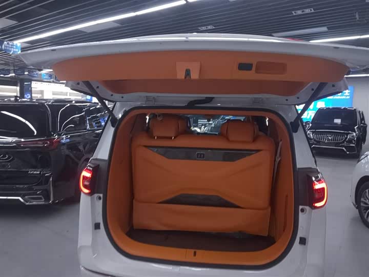 Фото 19 - Buick GL8 ES