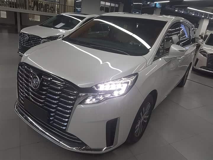 Фото 2 - Buick GL8 ES