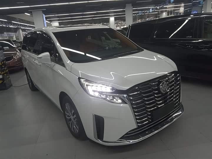 Фото 4 - Buick GL8 ES