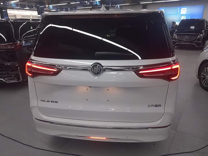 Фото 6 - Buick GL8 ES