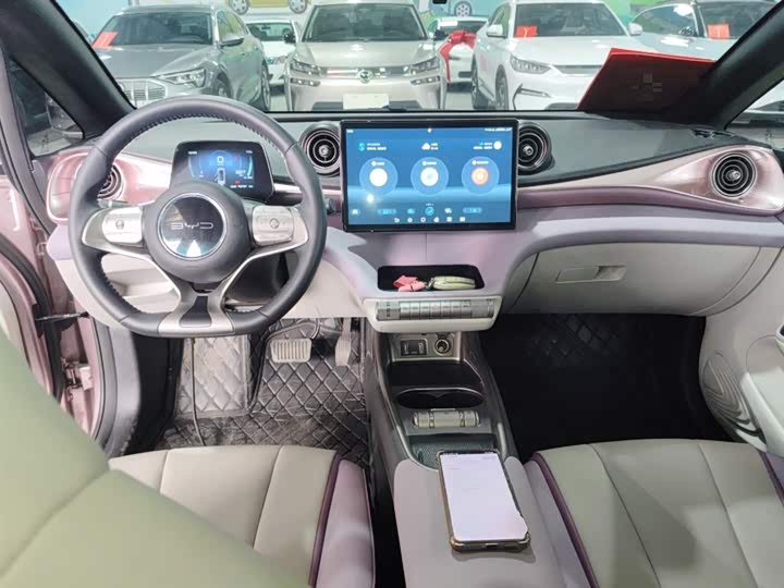 Фото 10 - BYD Dolphin