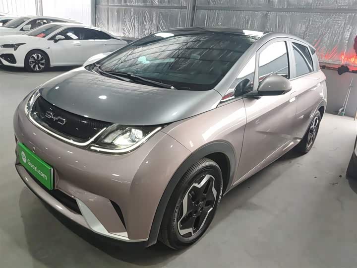 Фото 2 - BYD Dolphin