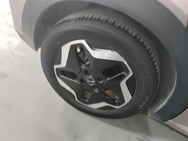 Фото 26 - BYD Dolphin