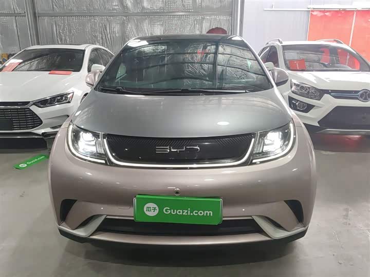 Фото 3 - BYD Dolphin