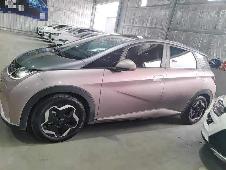 Фото 5 - BYD Dolphin