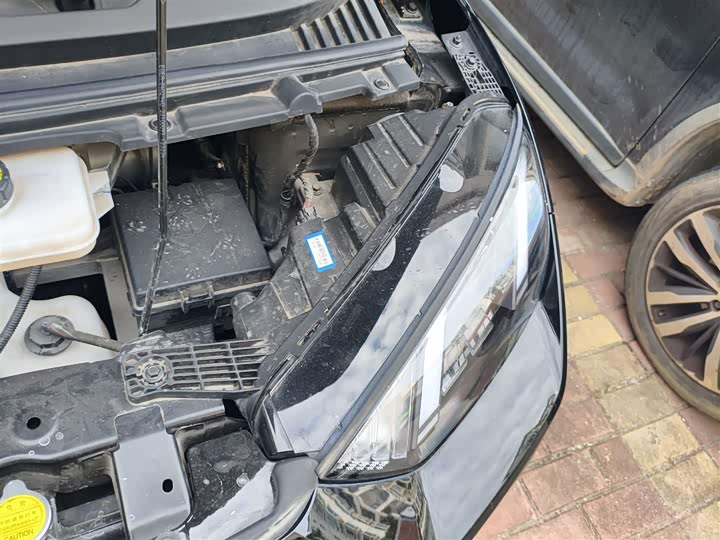 Фото 22 - BYD Seagull