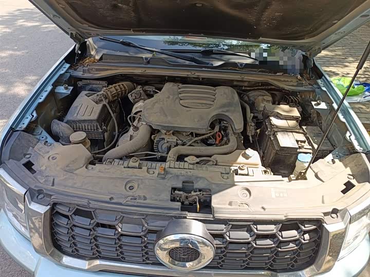 Фото 11 - Great Wall King Kong Poer