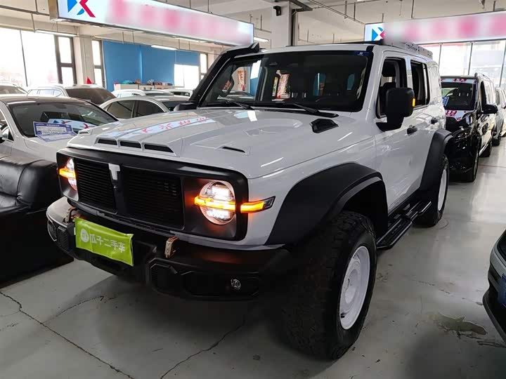 Фото 2 - Tank 300