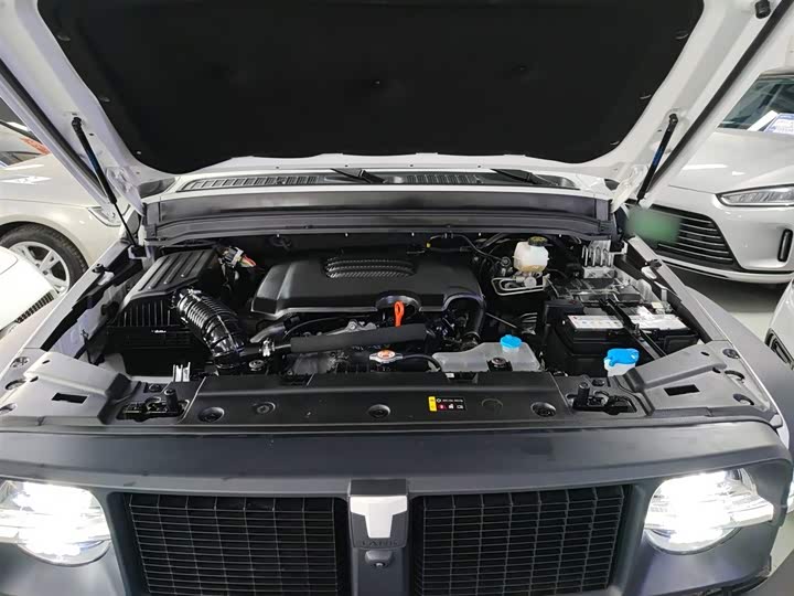 Фото 20 - Tank 300