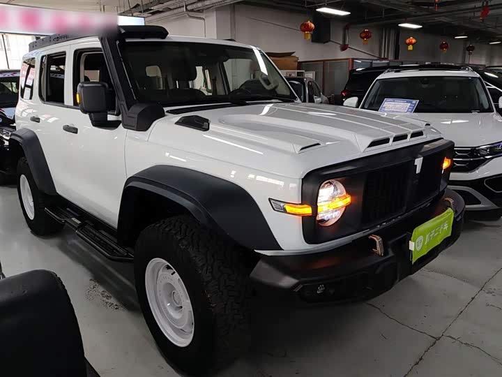 Фото 4 - Tank 300