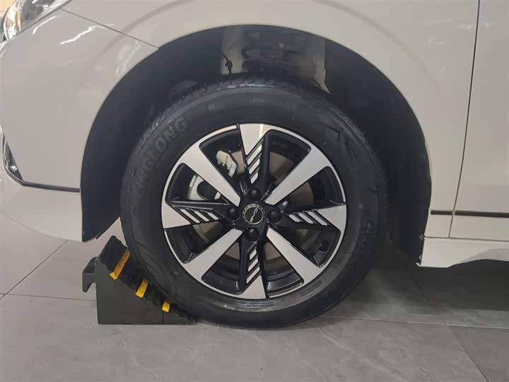 Фото 17 - BYD E2