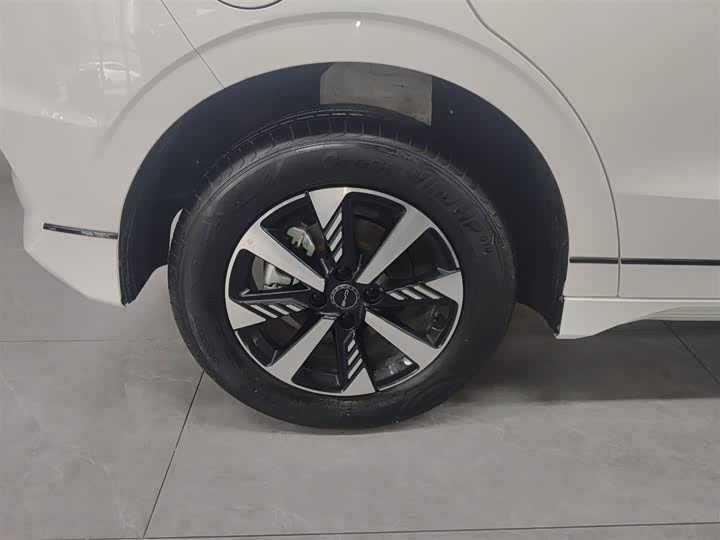 Фото 20 - BYD E2