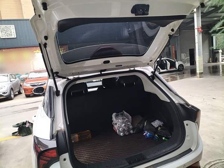 Фото 17 - Hozon V