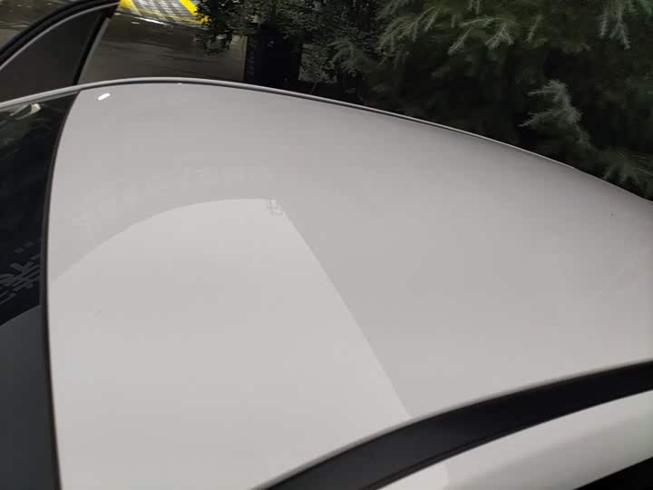 Фото 25 - Hozon V