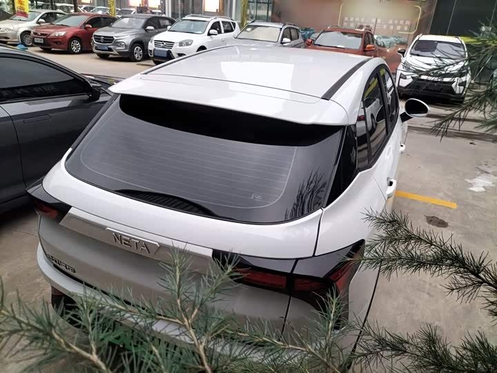 Фото 6 - Hozon V