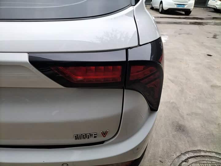 Фото 7 - Hozon V