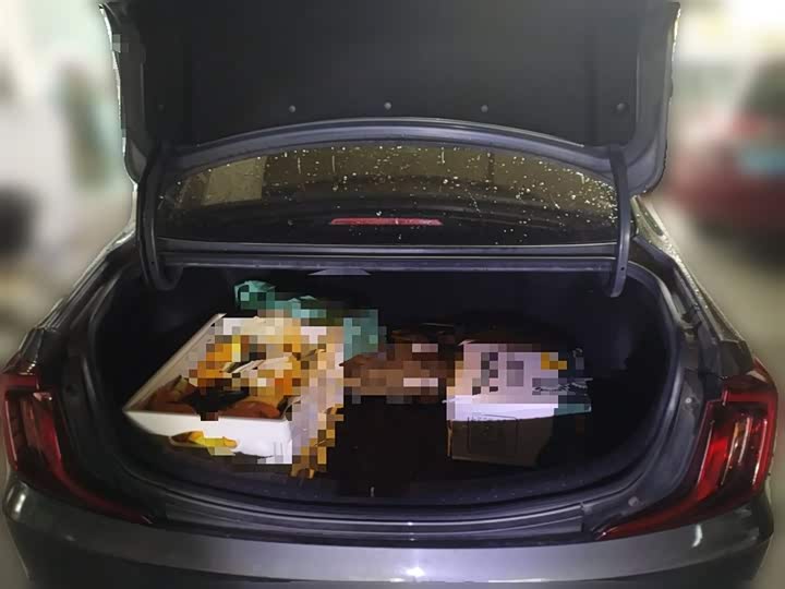 Фото 10 - Hyundai Mistra