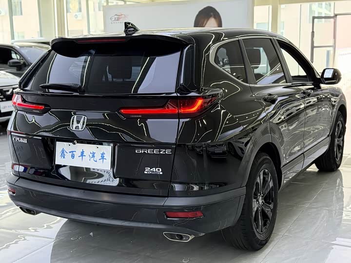 Фото 10 - Honda Breeze