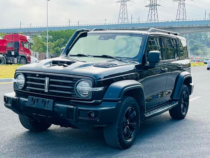 Фото 1 - Tank 300