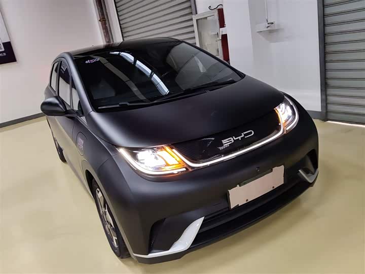 Фото 4 - BYD Dolphin