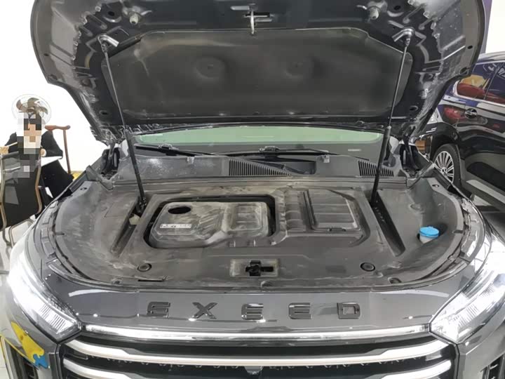 Фото 20 - Exeed VX