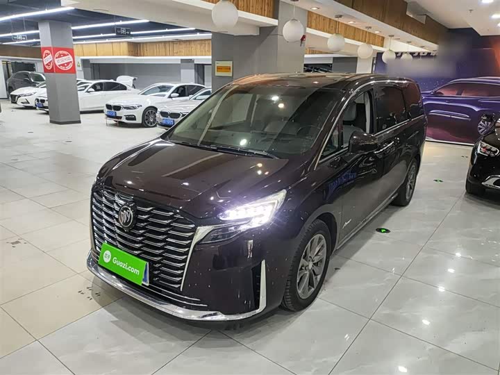 Фото 1 - Buick GL8 ES