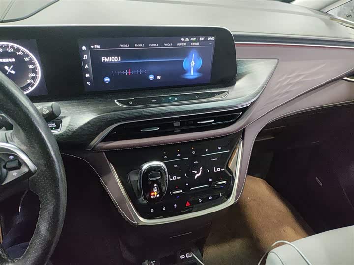 Фото 13 - Buick GL8 ES