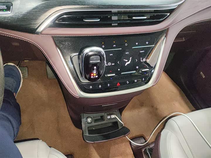 Фото 14 - Buick GL8 ES