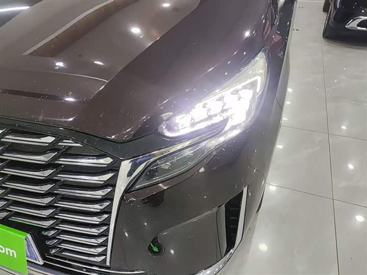 Фото 24 - Buick GL8 ES