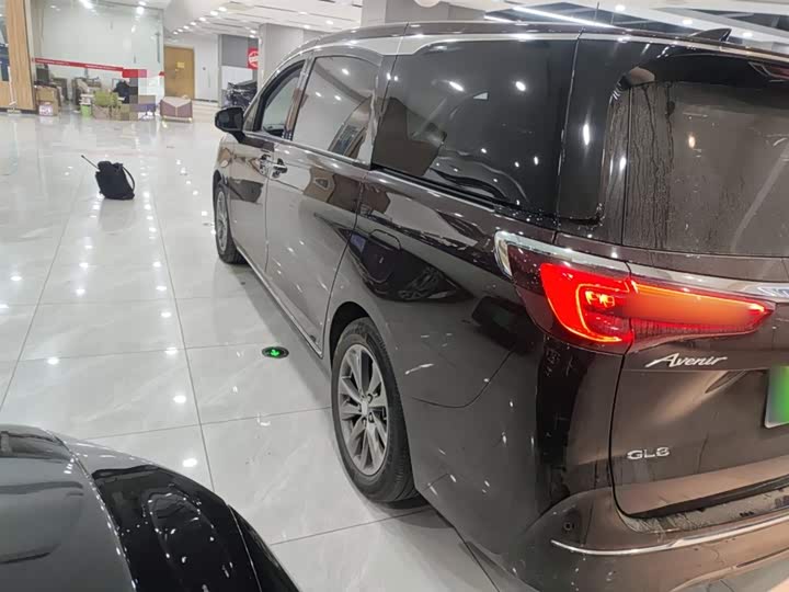 Фото 5 - Buick GL8 ES