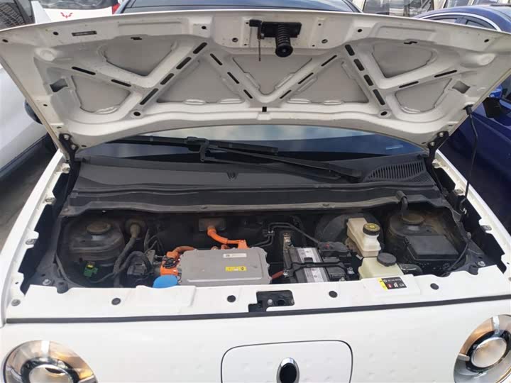 Фото 20 - Ora Black Cat