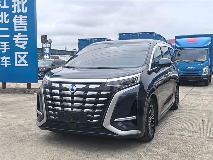 Фото 1 - Denza D9