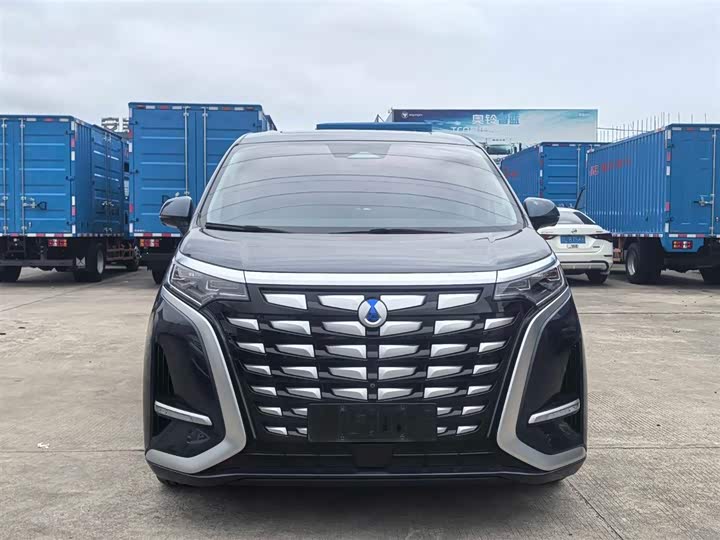 Фото 2 - Denza D9