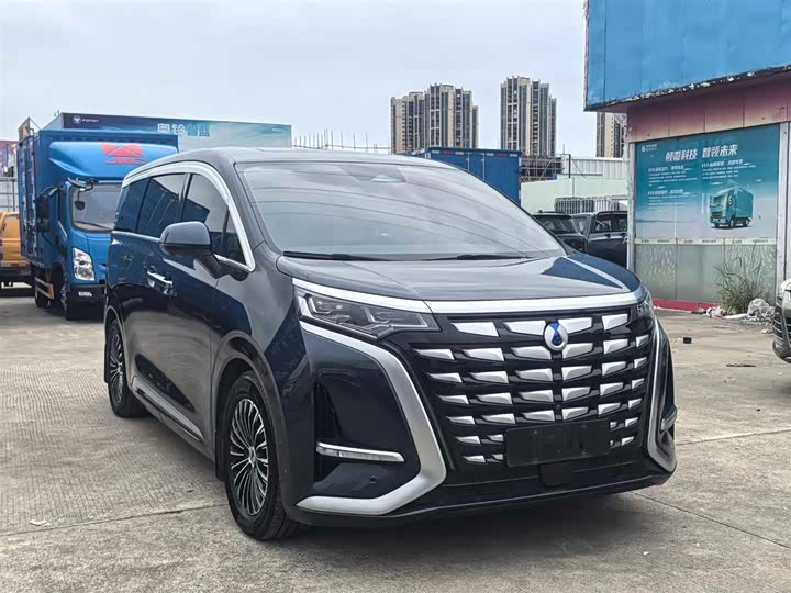 Фото 3 - Denza D9