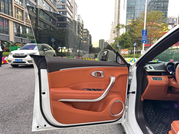 Фото 11 - Ora Lightning Cat (07)