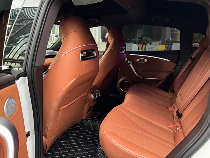 Фото 12 - Ora Lightning Cat (07)