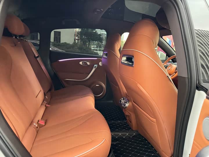 Фото 16 - Ora Lightning Cat (07)