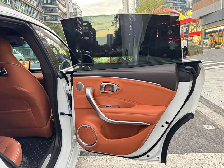 Фото 17 - Ora Lightning Cat (07)