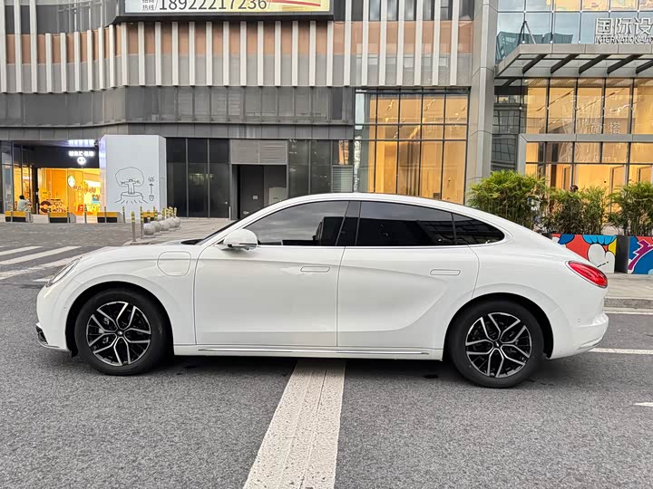 Фото 7 - Ora Lightning Cat (07)