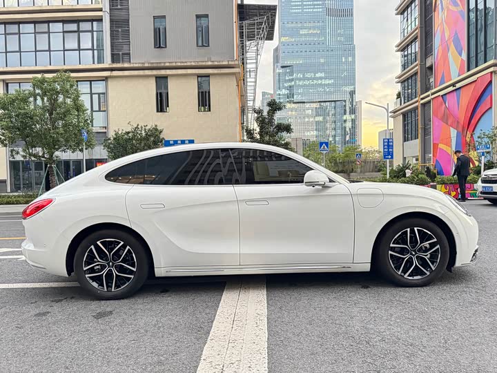 Фото 8 - Ora Lightning Cat (07)