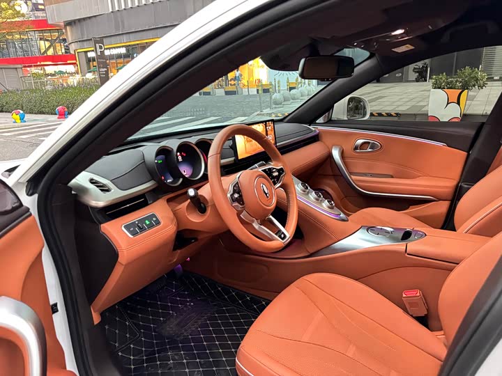 Фото 9 - Ora Lightning Cat (07)