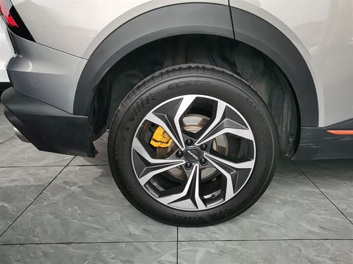 Фото 26 - Haval F7 (Monster)