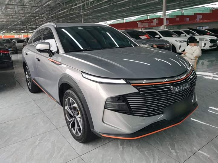 Фото 4 - Haval F7 (Monster)