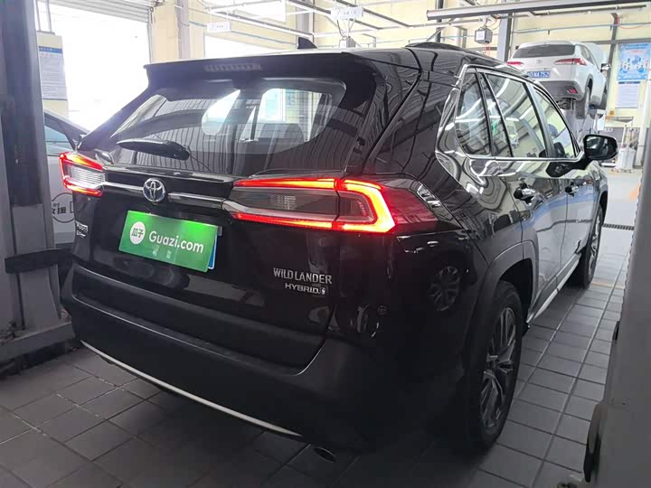 Фото 7 - Toyota Wildlander