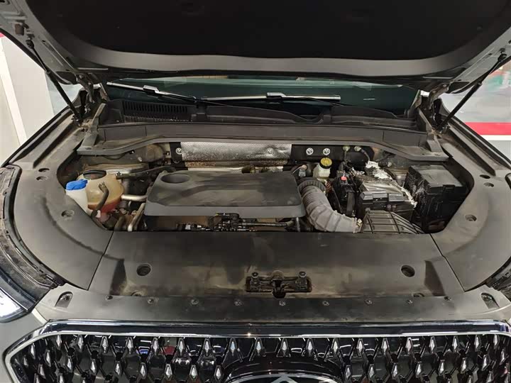 Фото 20 - Chery Tiggo 8L