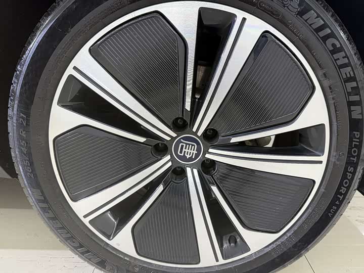 Фото 19 - BYD Tang Hybrid/EV