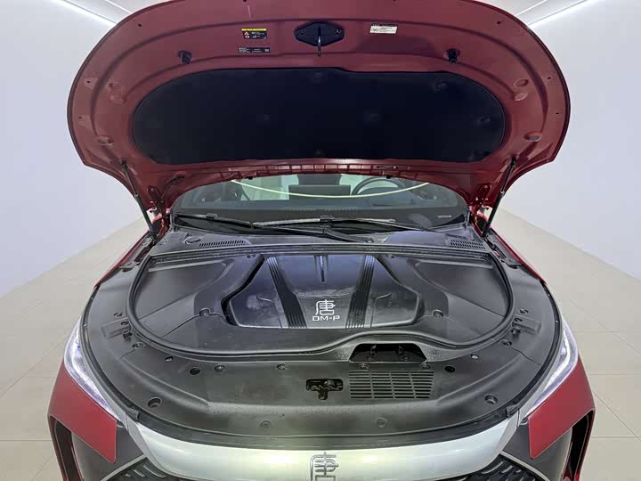 Фото 25 - BYD Tang Hybrid/EV