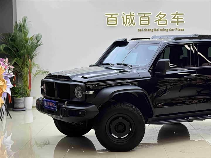 Фото 2 - Tank 300