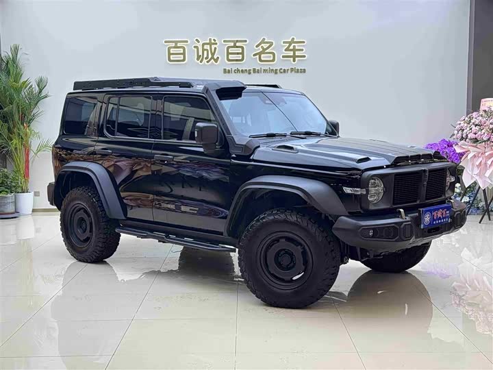 Фото 3 - Tank 300